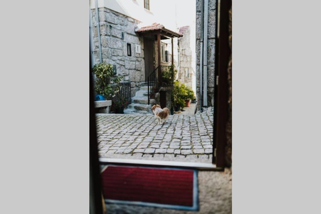 Casa Oeste ซาบูเกย์โร ภายนอก รูปภาพ